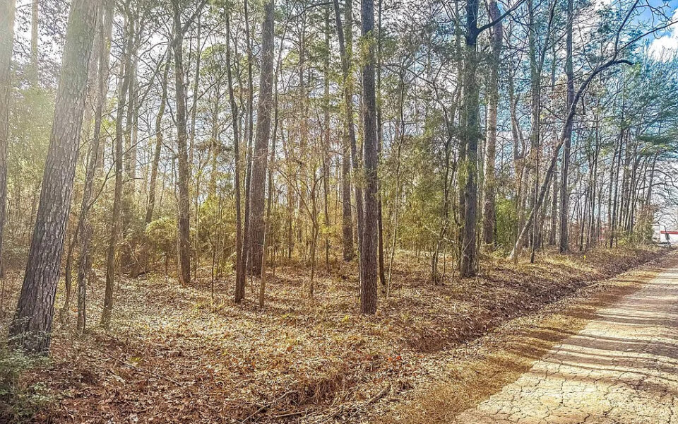 Land for sale by Sam Raybrun Lake