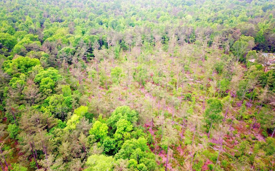 Land for sale by Sam Raybrun Lake