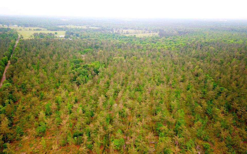 Land for sale by Sam Raybrun Lake