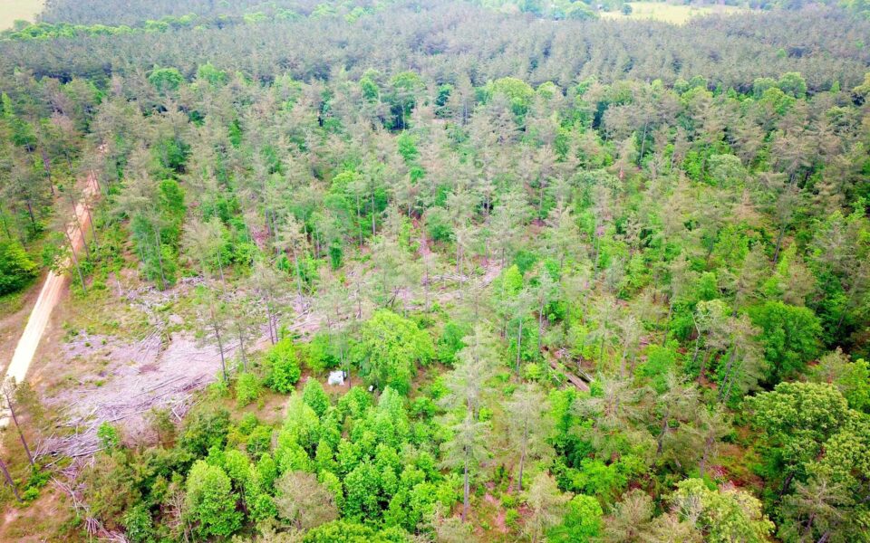 Land for sale by Sam Raybrun Lake