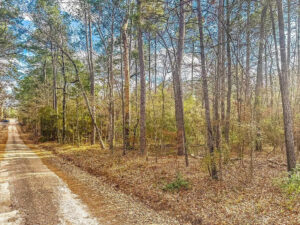 Land for sale by Sam Raybrun Lake