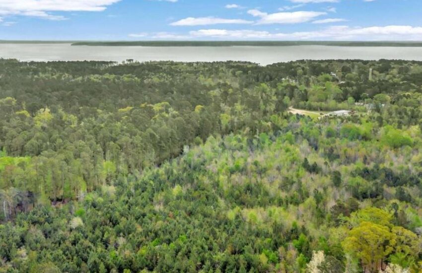 Land for sale by Sam Raybrun Lake